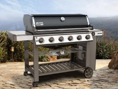 Barbecue a gas Genesis II Weber