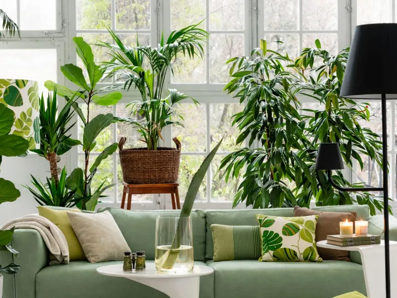 Un tocco di green in casa