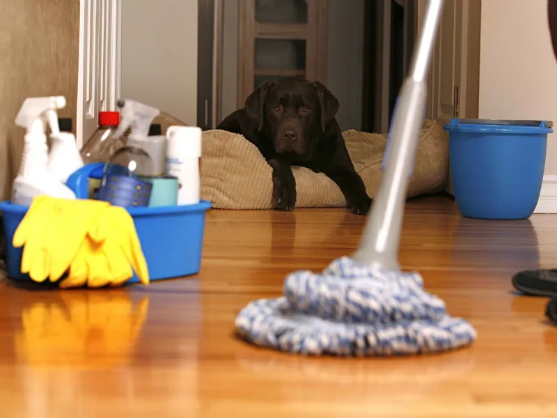 house keeping