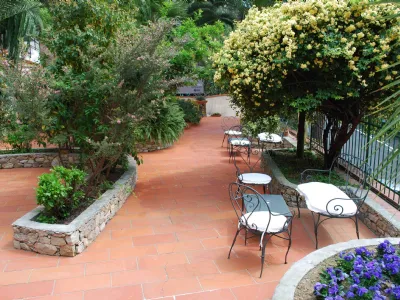 Piante da terrazzo