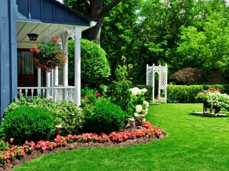 Un giardino