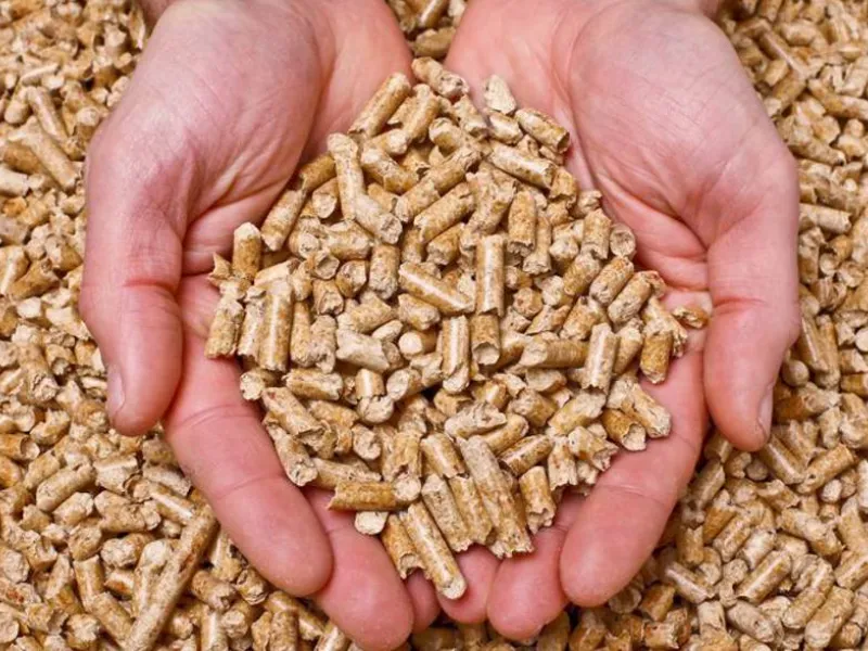 Pellet in primo piano